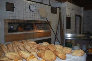 Pane